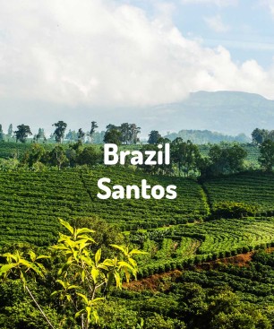 Brazylia Santos | Świeżo Palona Arabica | Kawa Ziarnista