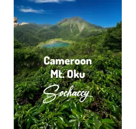 Kamerun Mt. Oku | Kawa Ziarnista | Świeżo Palona Arabica