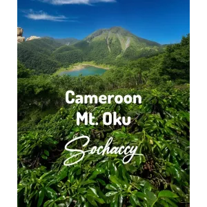 Plantacja kawy Kamerun Mt. Oku — Mt.Oku, Kamerun, świeżo palona Arabica