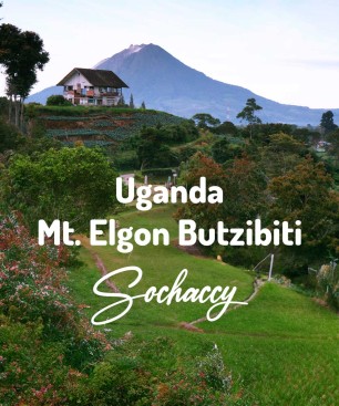 Kawa ziarnista z Afryki Uganda Mt. Elgon Butzibiti Palarnia kawy