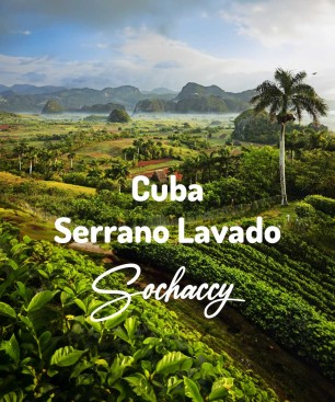 Kuba Serrano Lavado | Kawa Ziarnista | Świeżo Palona Arabica