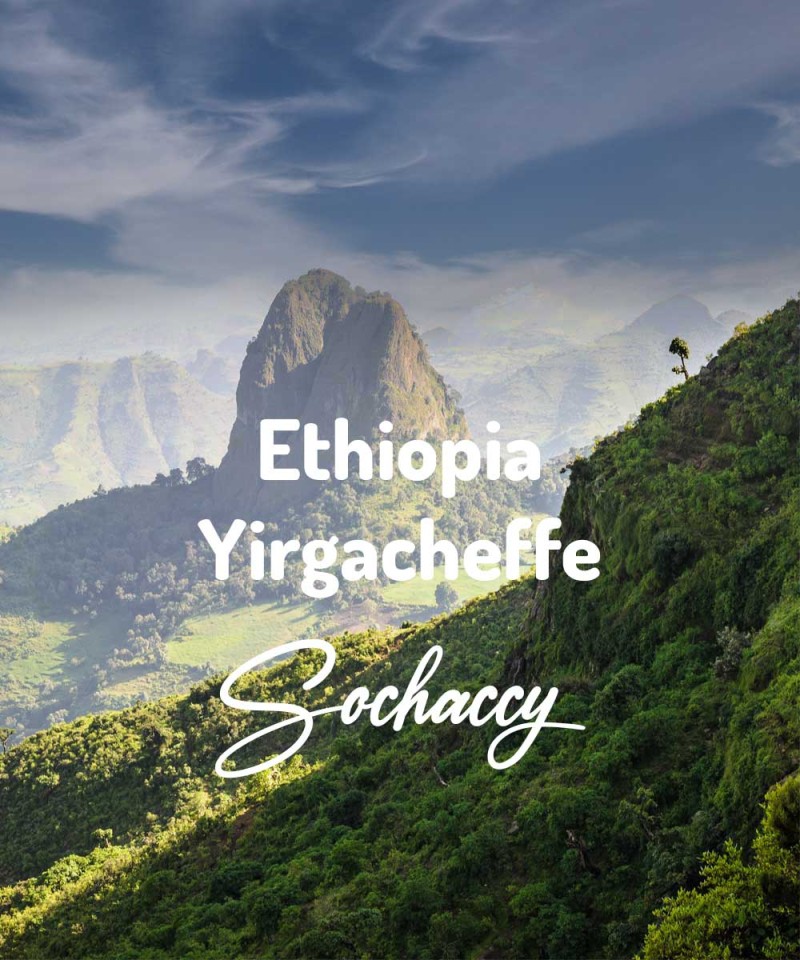 Kawa ziarnista Etiopia Yirgacheffe