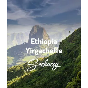 Plantacja kawy Etiopia Yirgacheffe — Sidamo, Etiopia, świeżo palona Arabica