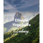 Etiopia Yirgacheffe | Kawa Ziarnista | Świeżo Palona Arabica