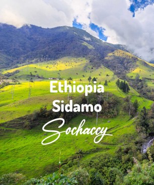Kawa ziarnista Etiopia Sidamo