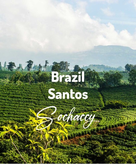 Kawa ziarnista Brazylia Santos