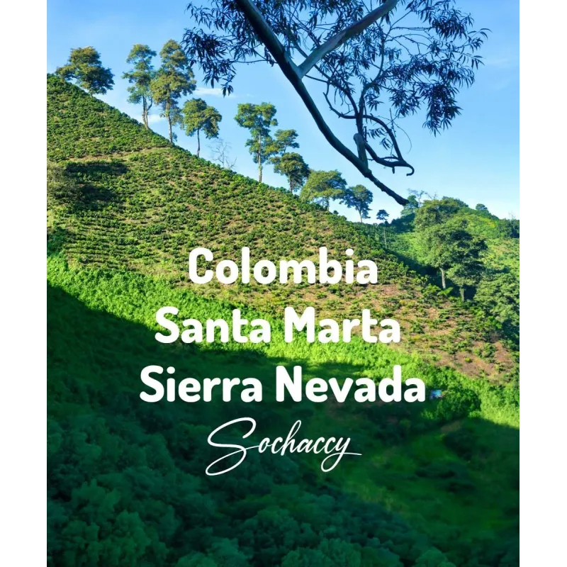 Plantacja kawy Kolumbia Santa Marta — Santa Marta, Kolumbia, świeżo palona Arabica