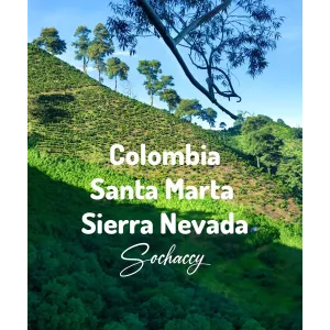 Plantacja kawy Kolumbia Santa Marta — Santa Marta, Kolumbia, świeżo palona Arabica