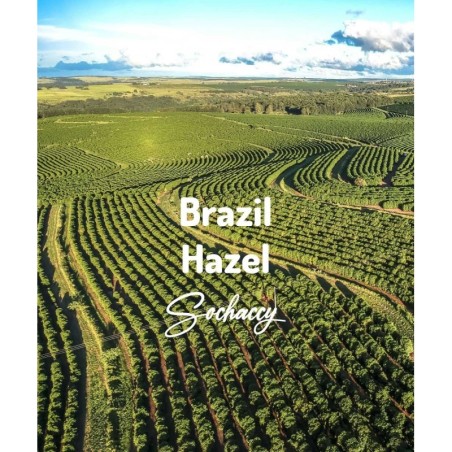 Brazylia Cemorrado Hazel | Kawa Ziarnista | Świeżo Palona Arabica