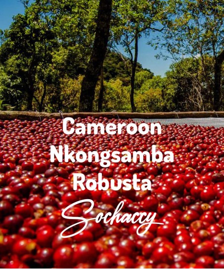 Jak smakuje Kawa ziarnista Kamerun Nkongsamba