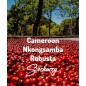 Kamerun Nkongsamba | Kawa Ziarnista | Świeżo Palona Robusta