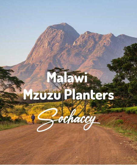 Kawa ziarnista Malawi Mzuzu Planters