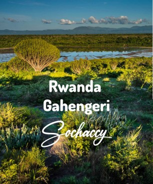 Rwanda Gahengeri | Kawa Ziarnista | Świeżo Palona Arabica