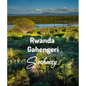 Plantacja kawy Rwanda Gahengeri — Rwamagana, Rwanda, świeżo palona Arabica