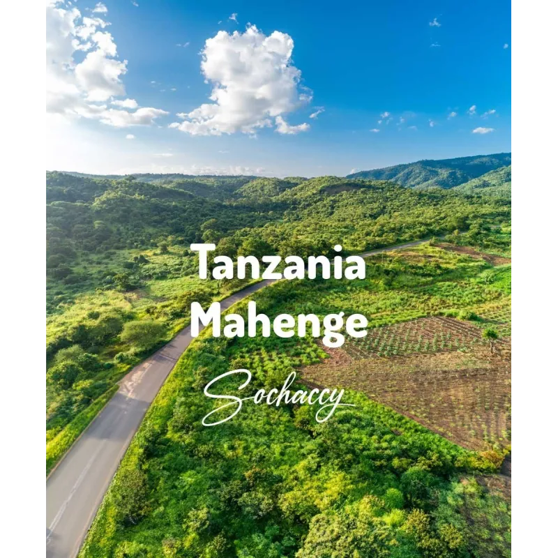 Plantacja kawy Tanzania Mahenge — Ruvuma, Tanzania, świeżo palona Arabica