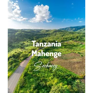 Plantacja kawy Tanzania Mahenge — Ruvuma, Tanzania, świeżo palona Arabica