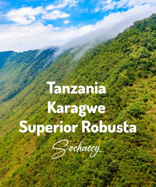 Kawa ziarnista robusta Tanzania Superior