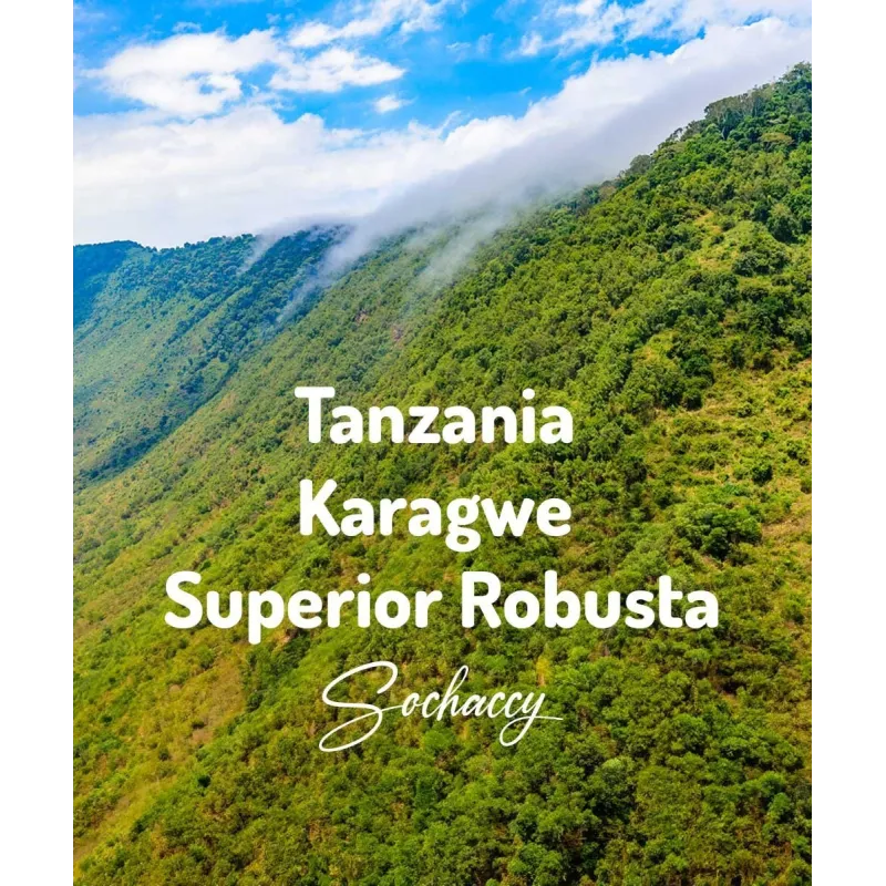 Plantacja kawy Tanzania Superior — Karagwe, Tanzania, świeżo palona Robusta