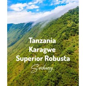 Plantacja kawy Tanzania Superior — Karagwe, Tanzania, świeżo palona Robusta