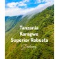 Tanzania Superior | Kawa Ziarnista | Świeżo Palona Robusta