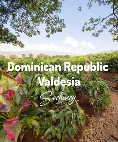 Kawa ziarnista  Dominikana Valdesia