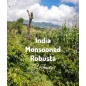 India Monsooned | Kawa Ziarnista | Świeżo Palona Robusta
