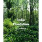 India Plantation | Kawa Ziarnista | Świeżo Palona Arabica