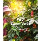 Peru Eterno Verão | Kawa Ziarnista | Świeżo Palona Arabica