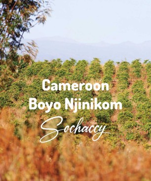 Kawa ziarnista Kamerun Boyo Njinikom