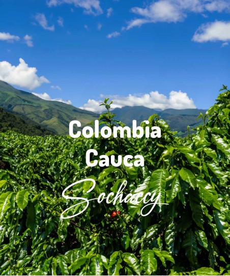 Kawa ziarnista świeżo palona Kolumbia Cauca Popayán