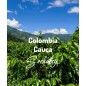 Kolumbia Cauca Popayán | Kawa Ziarnista | Świeżo Palona Arabica
