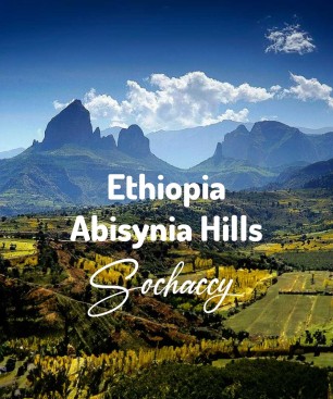 Kawa ziarnista Etiopia Abisynia Hills