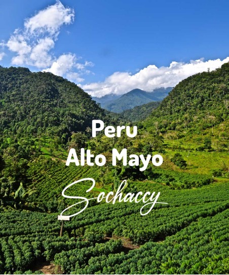Kawa ziarnista Peru Alto Mayo