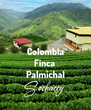 Kawa ziarnista świeżo palona Kolumbia Finca Palmichal