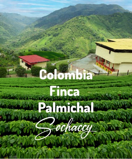 Kawa ziarnista świeżo palona Kolumbia Finca Palmichal