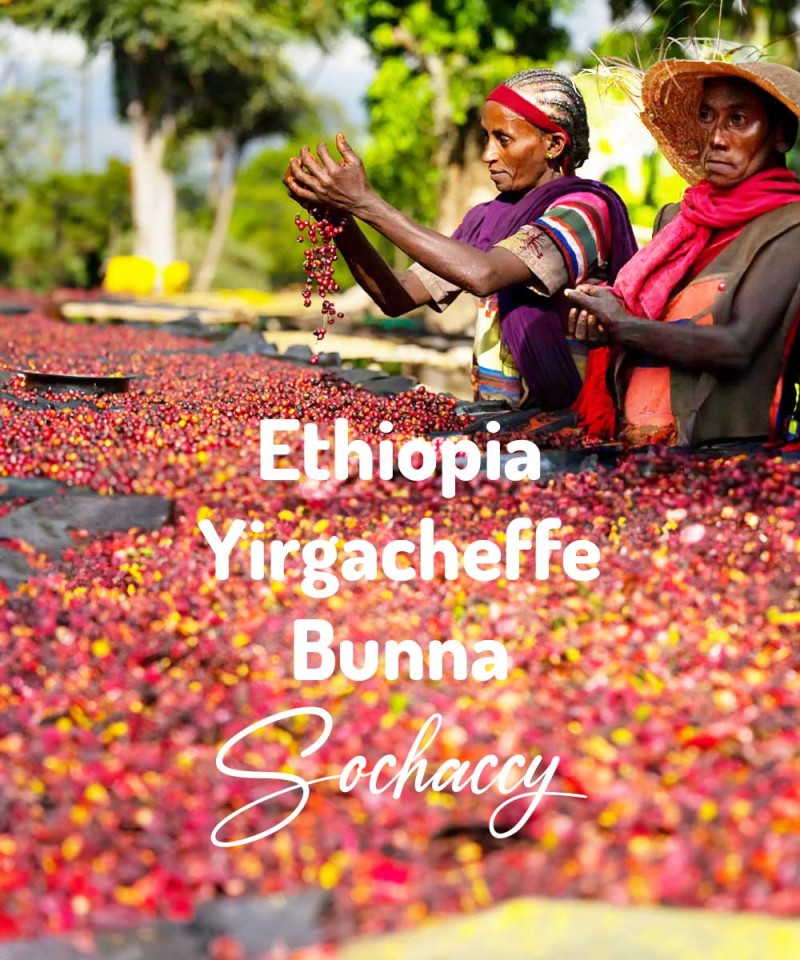 Kawa ziarnista świeżo palona Etiopia Yirgacheffe Bunna