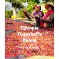 Etiopia Yirgacheffe Bunna | Kawa Ziarnista | Świeżo Palona Arabica
