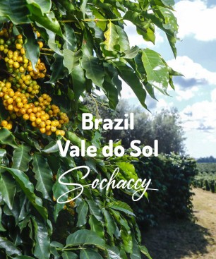 Kawa ziarnista Brazylia Vale do Sol