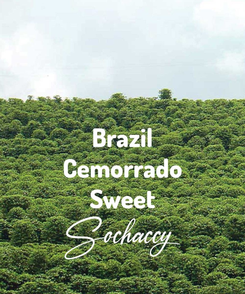 Kawa ziarnista Brazylia Cemorrado Sweet