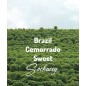 Brazylia Cemorrado Sweet | Kawa Ziarnista | Świeżo Palona Arabica