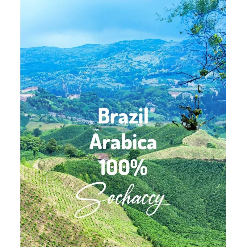 Plantacja kawy Brazylia Arabica 100% 1kg — świeżo palona kawa ziarnista Palarnia Sochaccy