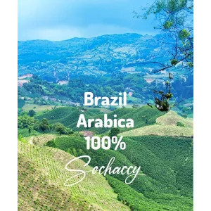 Plantacja kawy Brazylia Arabica 100% 1kg — świeżo palona kawa ziarnista Palarnia Sochaccy