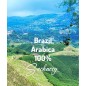Brazylia Arabica 100% 1kg | Kawa Ziarnista | Świeżo Palona Arabica