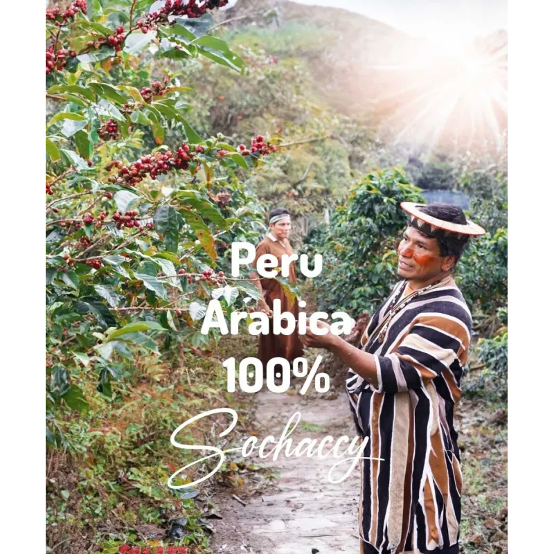 Plantacja kawy Peru Arabica 100% 1kg — Peru, świeżo palona Arabica