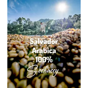 Plantacja kawy Salwador Arabica 100% 1kg — świeżo palona kawa ziarnista Palarnia Sochaccy