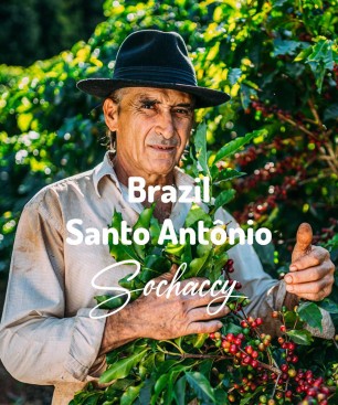 Kawa ziarnista Brazylia Santo Antônio świeżo palona