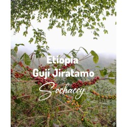 Kawa Etiopia Guji Jiratamo | Kawa Ziarnista | Świeżo Palona Arabica| SwiezoWypalana.pl |Region Guji