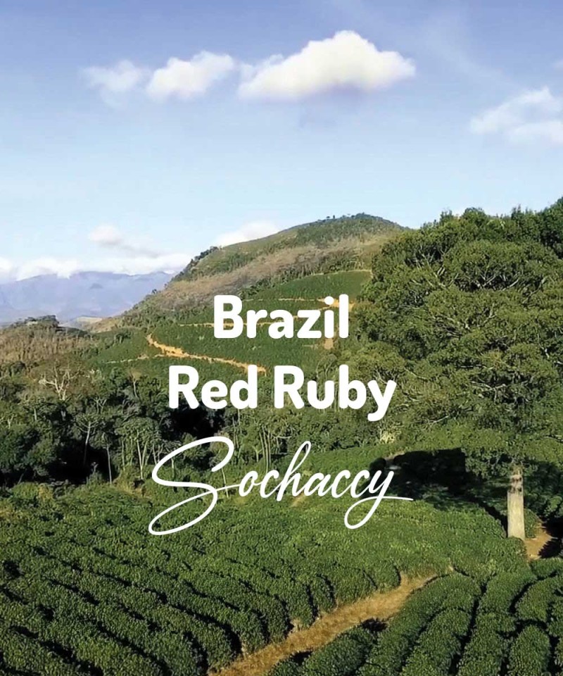Kawa ziarnista świeżo palona Brazylia Red Ruby