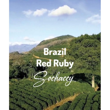 Brazylia Red Ruby | Kawa Ziarnista | Świeżo Palona Arabica