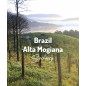 Brazylia Alta Mogiana | Kawa Ziarnista | Świeżo Palona Arabica